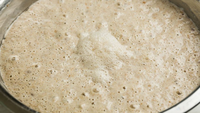 Guide to sourdough fermentation (what's really happening inside your dough)