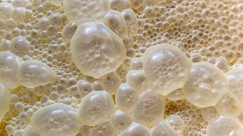 Guide to sourdough fermentation (what's really happening inside your dough)