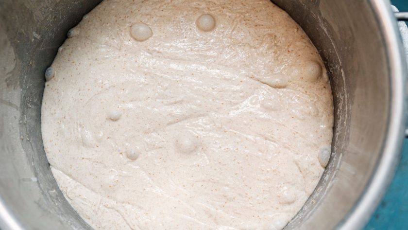 Guide to sourdough fermentation (what's really happening inside your dough)